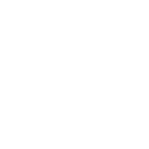 Protection-from-risks-icon