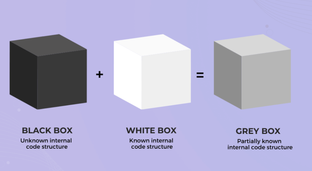 Gray Box Penetration Testing