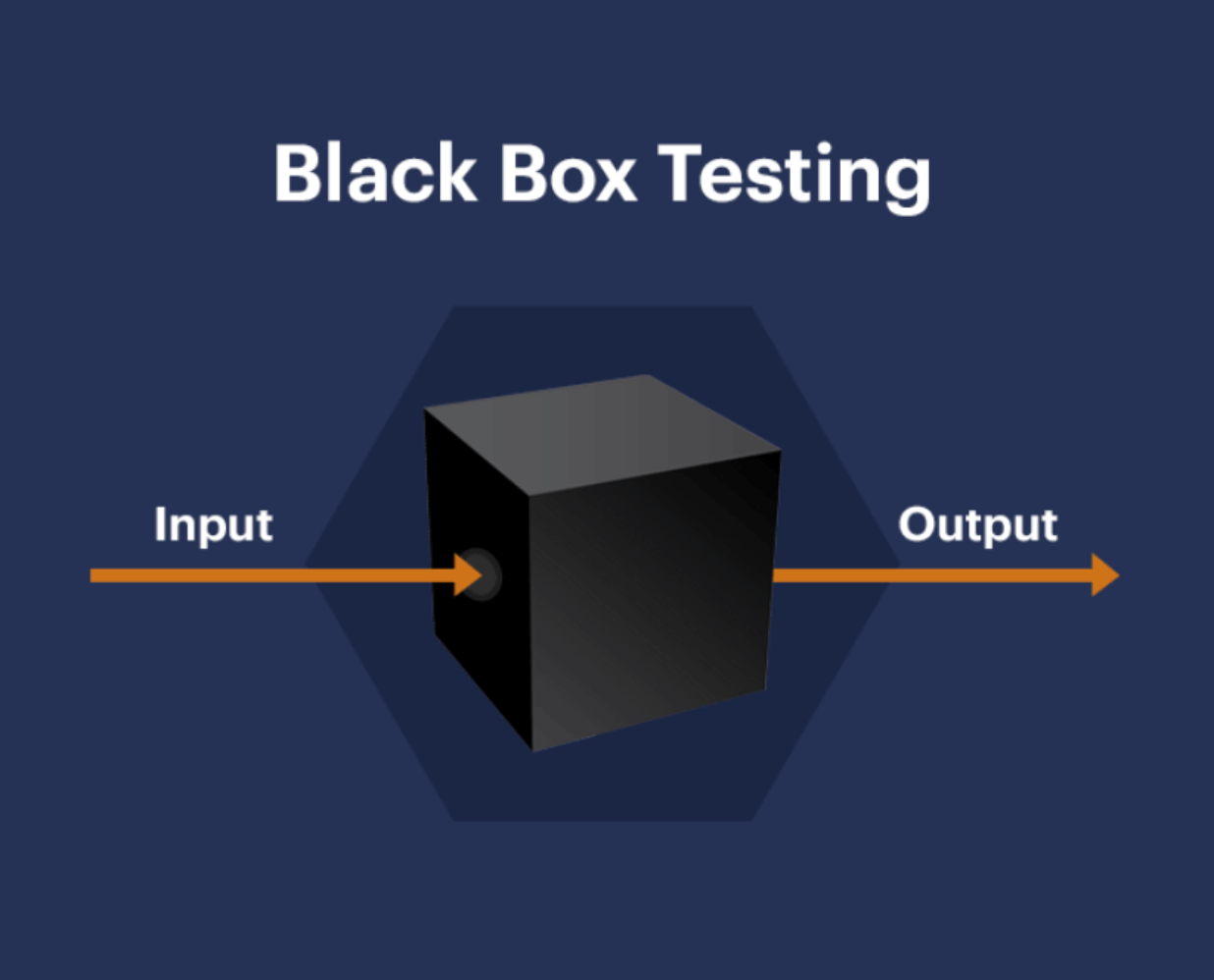 black box - types of penetration testing