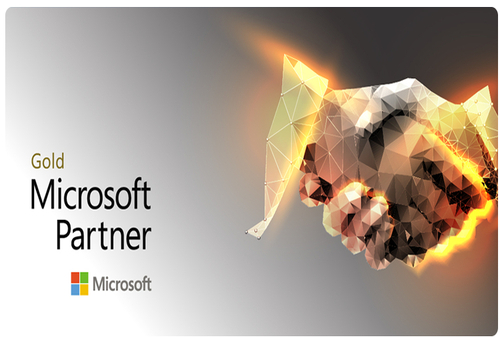 We are proud to be a Microsoft Gold Partner, facilitating smooth transitions from COBOL to Java or .NET.